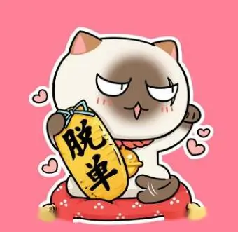 极光向导